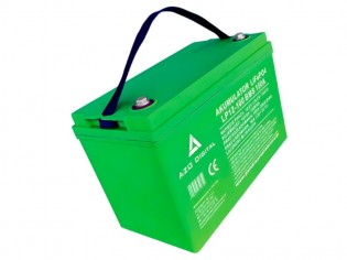 Akumulator LiFePO4 LP12-100...